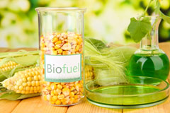 Martin biofuel availability